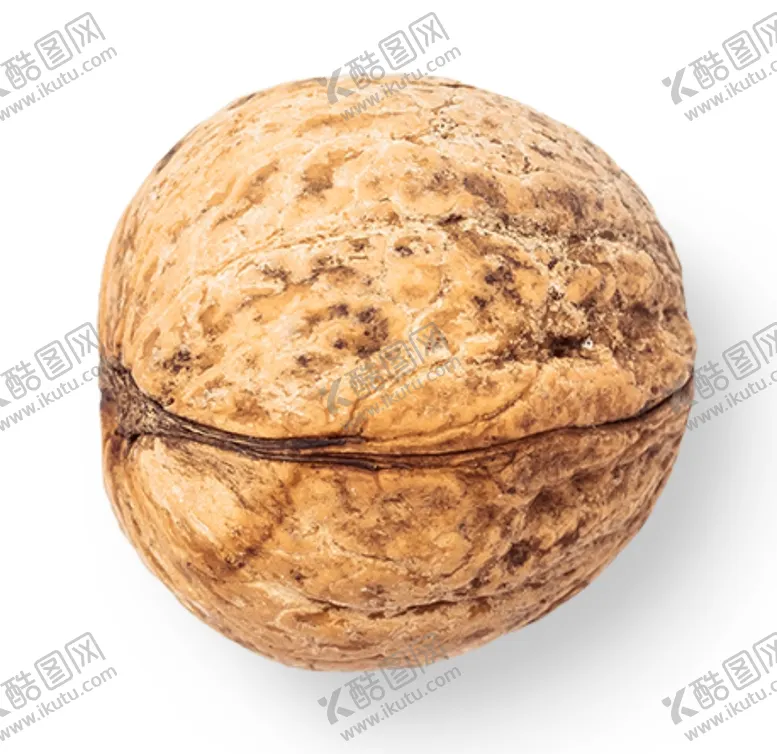 编号：32032104191025123028【酷图网】源文件下载-核桃