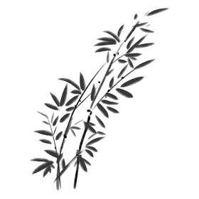 竹子素材