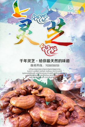 灵芝鸡海报餐饮海报宣传