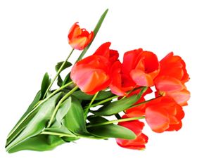 鲜花