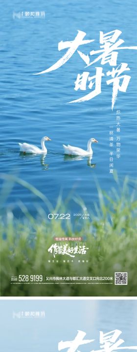 2025节日节气大暑