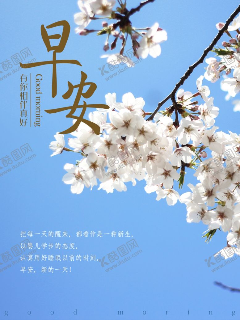 编号：61428907121843166348【酷图网】源文件下载-早安