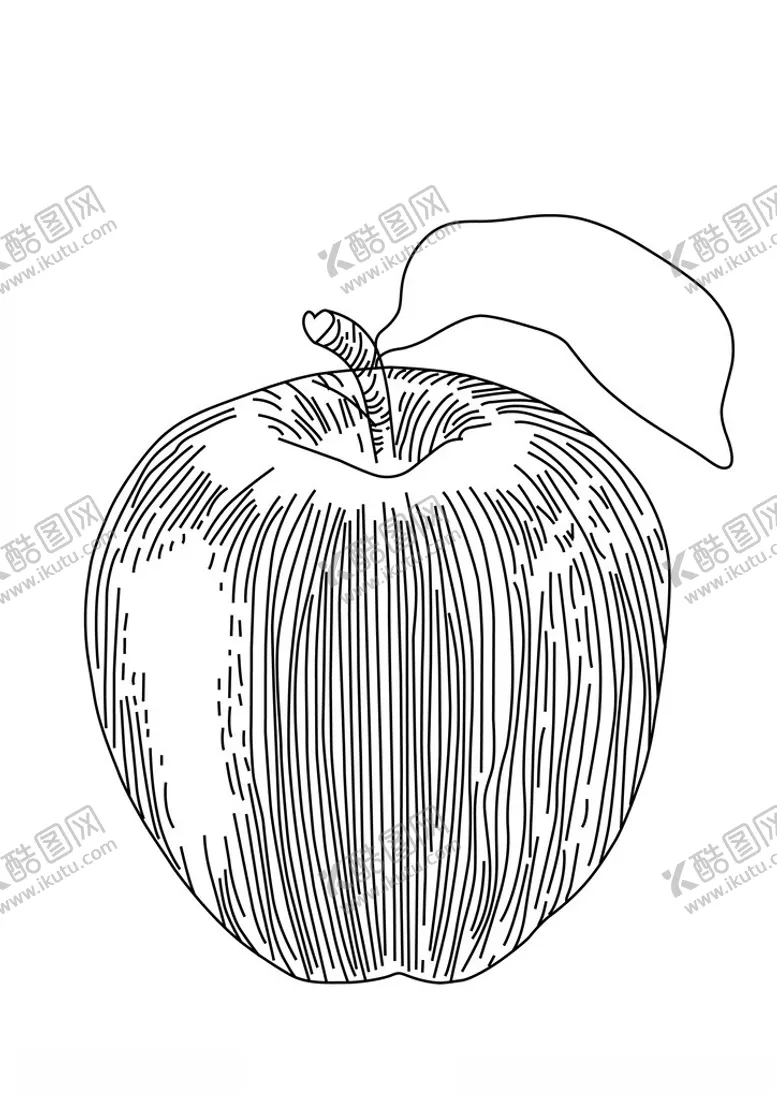 编号：84012302231238512972【酷图网】源文件下载-苹果线稿