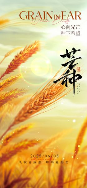 芒种二十四节气地产海报