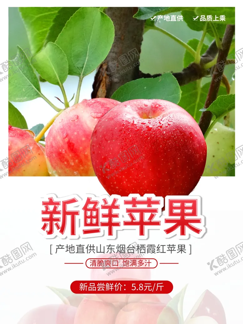 编号：27569101300552109662【酷图网】源文件下载-新鲜苹果