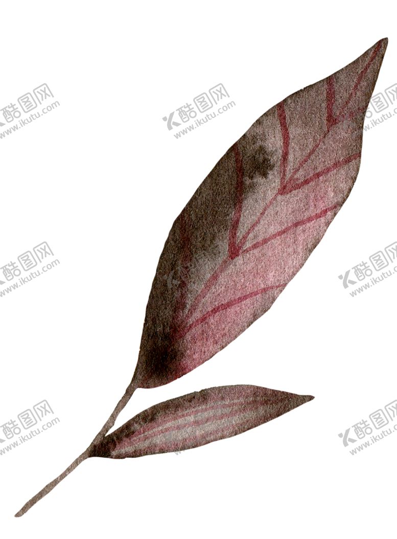 编号：98440401281534411247【酷图网】源文件下载-水彩树叶