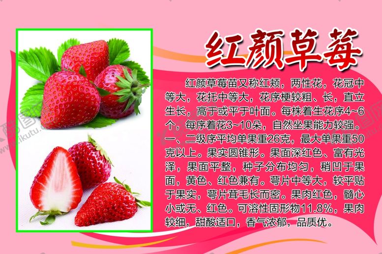 编号：39165907130824143470【酷图网】源文件下载-红颜草莓