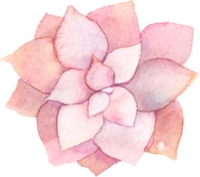 花卉