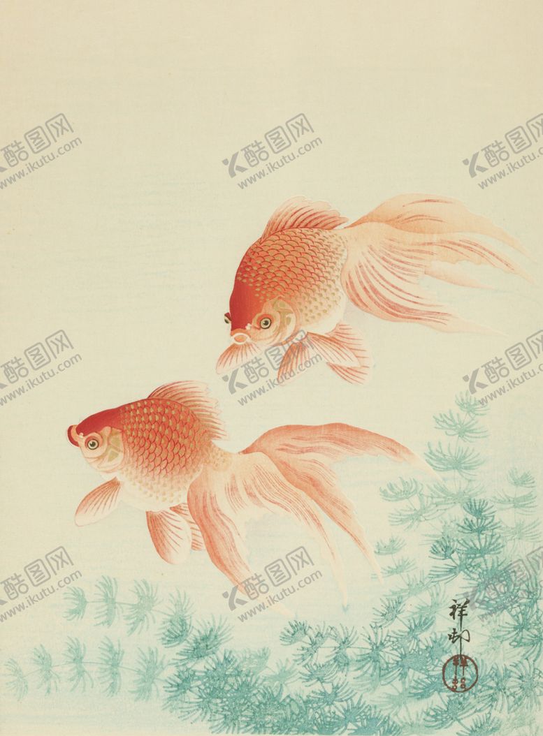 编号：71558210021207358573【酷图网】源文件下载-金鱼