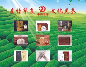 安化黑茶