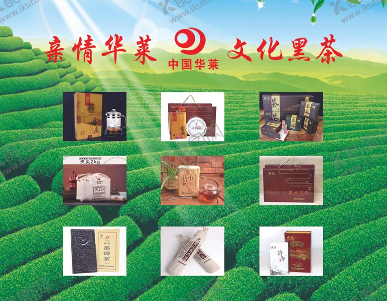编号：96544407130432462058【酷图网】源文件下载-安化黑茶