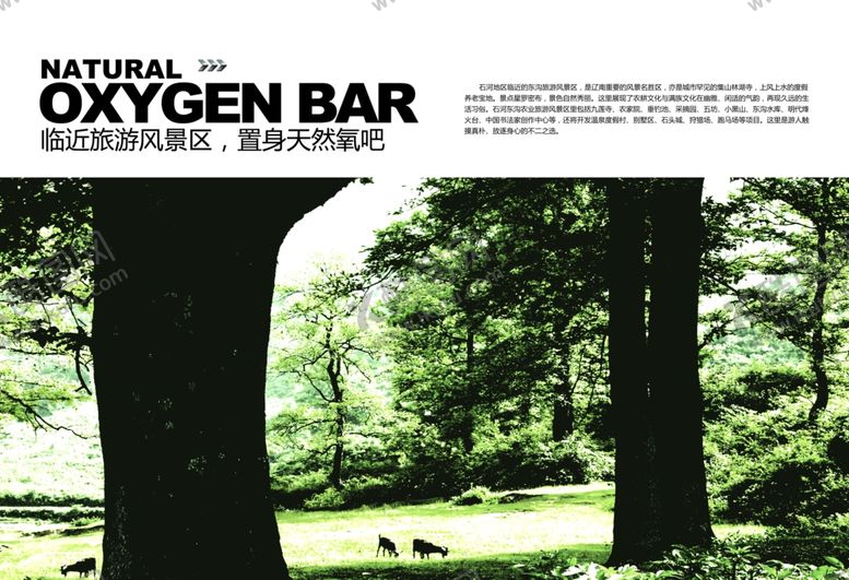 编号：84437405090650363875【酷图网】源文件下载-地产宣传海报