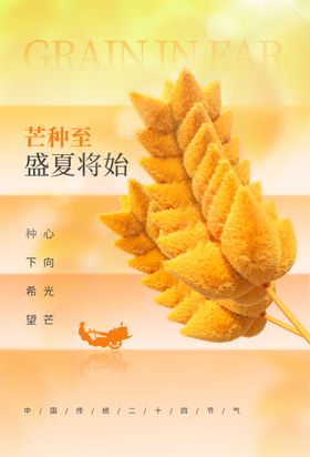 小满海报壁纸地产推广传统节气