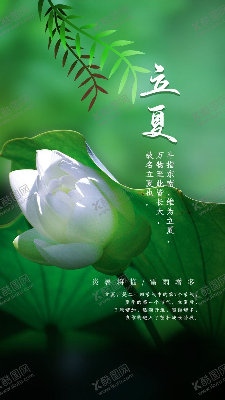 编号：23264509230753109247【酷图网】源文件下载-立夏海报