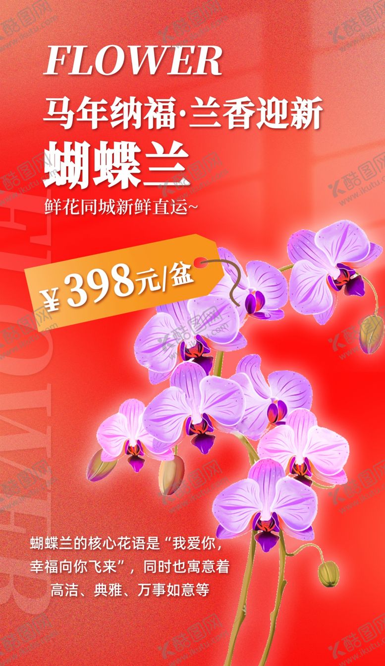 编号：30109005012334202949【酷图网】源文件下载-蝴蝶兰海报