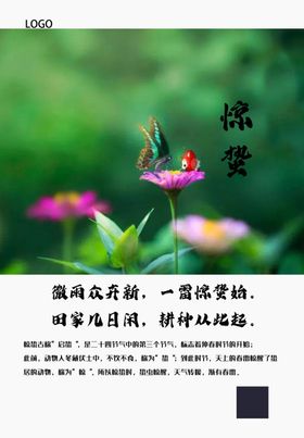 惊蛰节气春天绿色花开