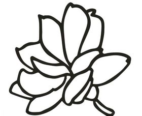 深圳静待花开教育科技有限公司