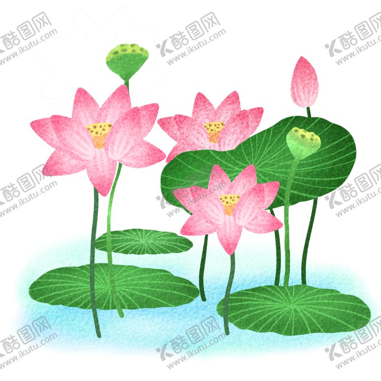编号：15423405191136369926【酷图网】源文件下载-荷花元素