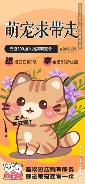 可爱萌宠待领养