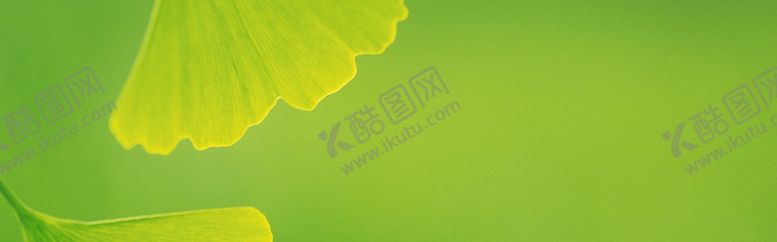 编号：34884510271700415630【酷图网】源文件下载-banner背景