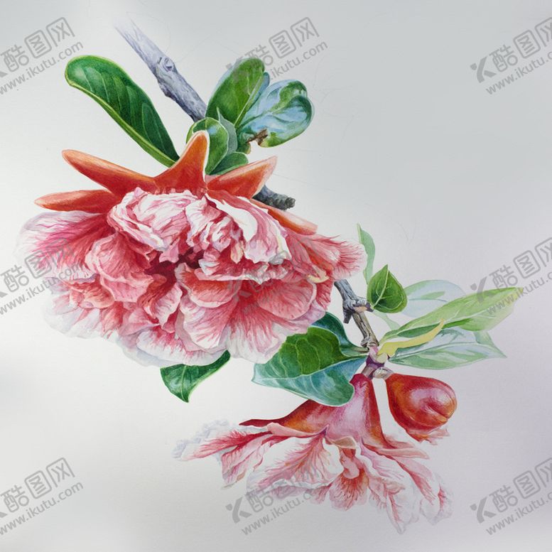 编号：84045006290124104777【酷图网】源文件下载-现代简约手绘牡丹花装饰画