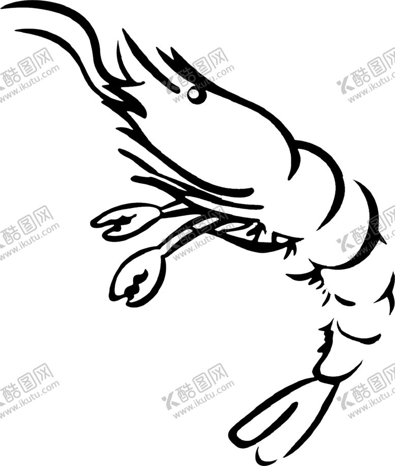 编号：72384105141545485681【酷图网】源文件下载-线条虾