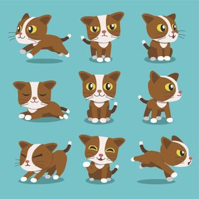 可爱小猫
