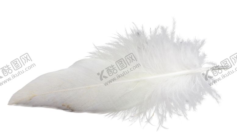 编号：93921709190005281992【酷图网】源文件下载-白色羽毛漂浮素材
