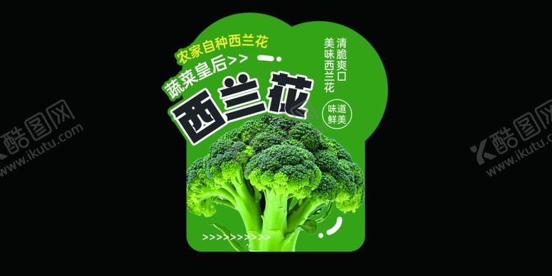 编号：17248804040530514061【酷图网】源文件下载-西兰花