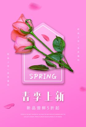 春季上新