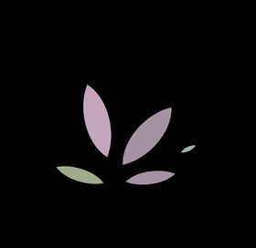 花瓣