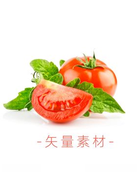番茄蔬菜手绘矢量插画