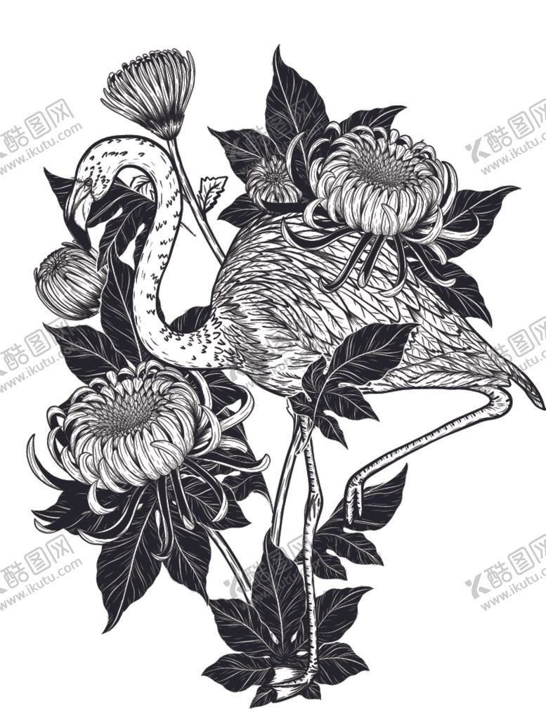 编号：64472007130805199773【酷图网】源文件下载-纯色绘画植物花朵