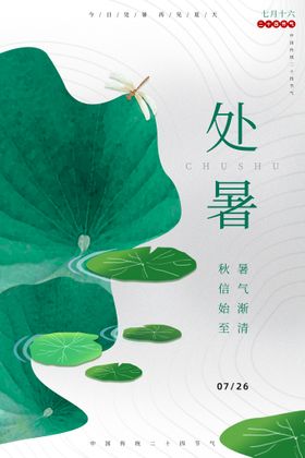 创意传统节气二十四节气处暑海报