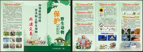 保护野生动物