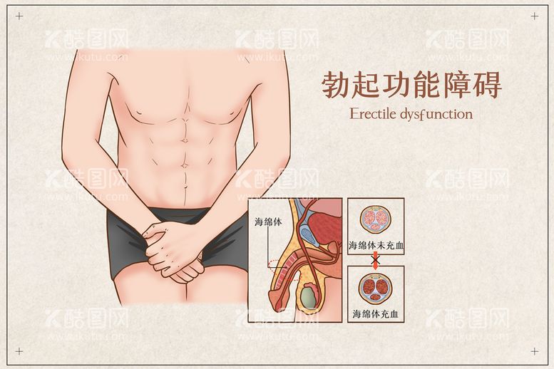 编号：25116811120506542334【酷图网】源文件下载-勃起功能障碍