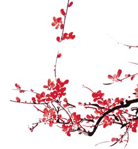 中国风水墨梅