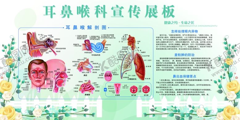 编号：86929207022235488405【酷图网】源文件下载-耳鼻喉科宣传展板