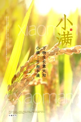 小满