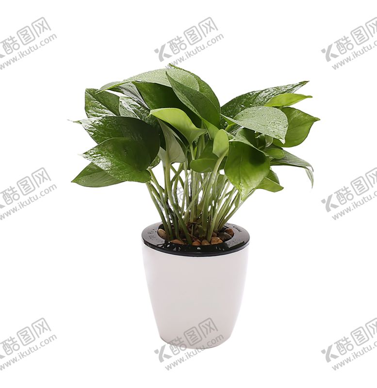 编号：84572110130136126271【酷图网】源文件下载-绿色装饰