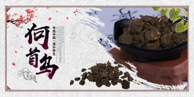 何首乌展板