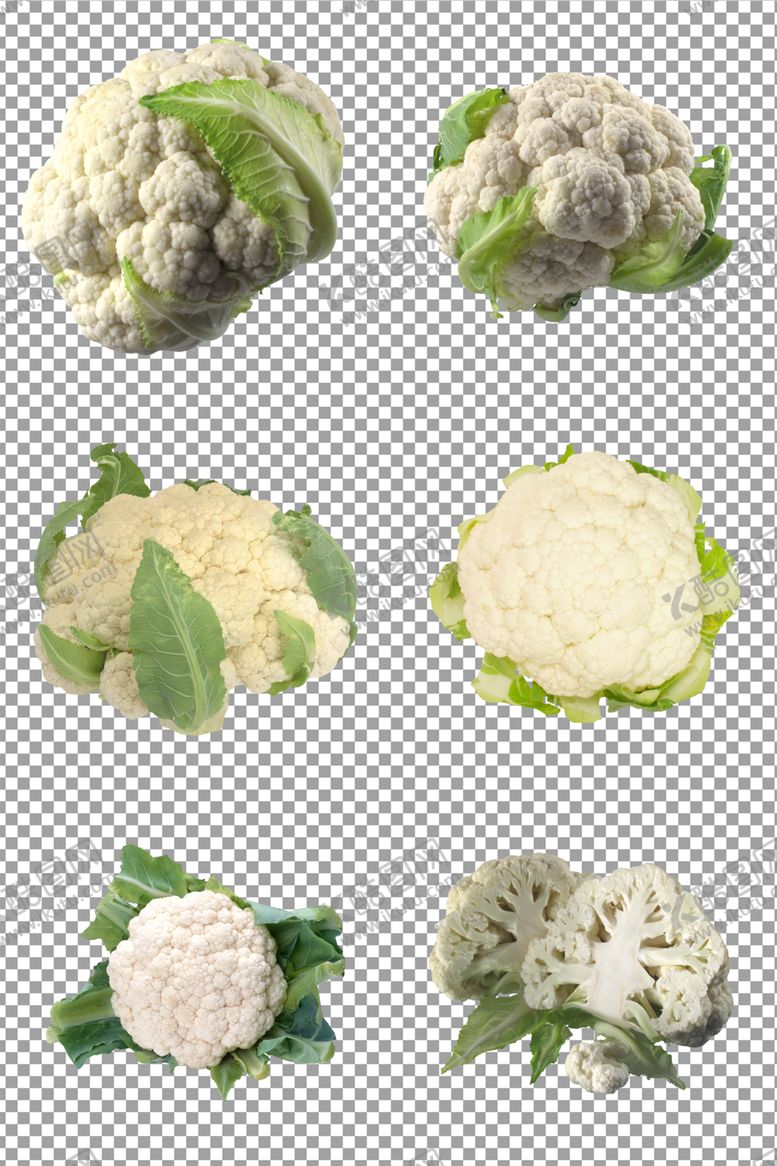 编号：17706810191111233598【酷图网】源文件下载-白花菜