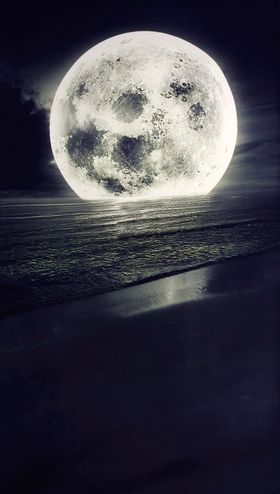 壁纸图片