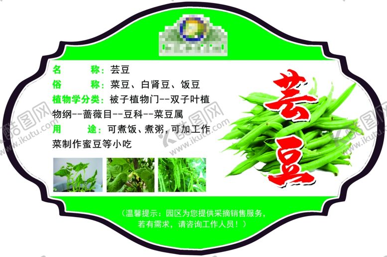 编号：37474309242351195643【酷图网】源文件下载-芸豆