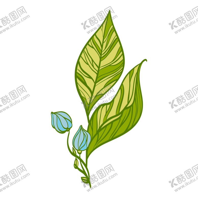 编号：86394709271155548603【酷图网】源文件下载-手绘植物