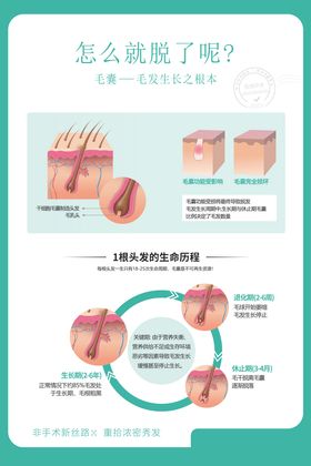 植发毛囊图宣传海报展板