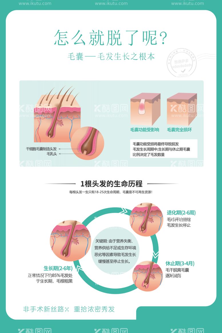 编号：61822111240845223852【酷图网】源文件下载-植发毛囊图宣传海报展板