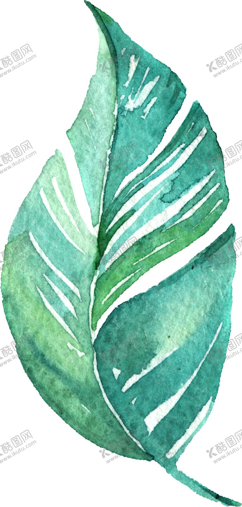 编号：76799109210017062850【酷图网】源文件下载-水彩手绘花卉花朵植物