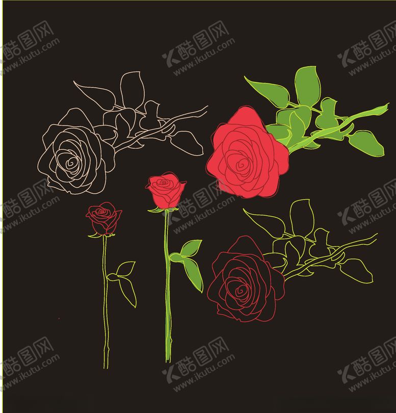 编号：22629307041808325930【酷图网】源文件下载-玫瑰花