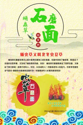 挂面